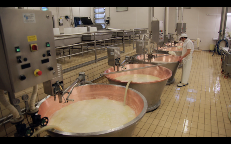 Parmesan Cheese is made in a factory in Italy shown by Netflix series "Salt Fat Acid Heat"